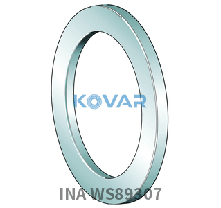 INA INA WS89307 Shaft locating washers