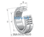 INA INA SL024830 Cylindrical roller bearing