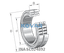 INA INA SL024892 Cylindrical roller bearing
