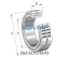 INA INA SL024840 Cylindrical roller bearing
