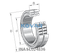 INA INA SL024836 Cylindrical roller bearing