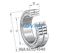 INA INA SL024940 Cylindrical roller bearing