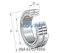INA INA SL024956 Cylindrical roller bearing