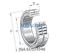 INA INA SL024948 Cylindrical roller bearing