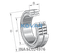 INA INA SL024976 Cylindrical roller bearing