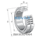 INA INA SL024964 Cylindrical roller bearing