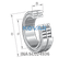 INA INA SL024936 Cylindrical roller bearing