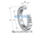 INA INA SL182988-TB Cylindrical roller bearing