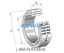 INA INA SL014836 Cylindrical roller bearing
