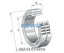 INA INA SL014856 Cylindrical roller bearing