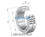 INA INA SL014926 Cylindrical roller bearing