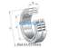 INA INA SL014868 Cylindrical roller bearing