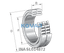 INA INA SL014872 Cylindrical roller bearing
