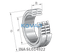 INA INA SL014922 Cylindrical roller bearing