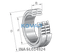 INA INA SL014924 Cylindrical roller bearing