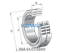 INA INA SL014860 Cylindrical roller bearing