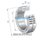 INA INA SL014952 Cylindrical roller bearing