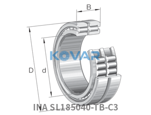 INA INA SL185040-TB-C3 Cylindrical roller bearing