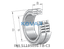 INA INA SL185036-TB-C3 Cylindrical roller bearing