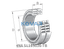 INA INA SL185036-TB Cylindrical roller bearing