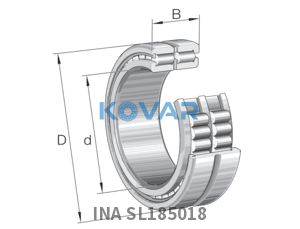 INA INA SL185018 Cylindrical roller bearing