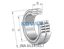 INA INA SL185017 Cylindrical roller bearing