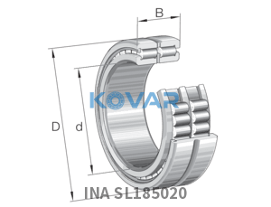 INA INA SL185020 Cylindrical roller bearing