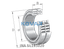 INA INA SL185020 Cylindrical roller bearing