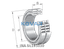 INA INA SL185030 Cylindrical roller bearing