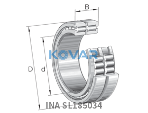 INA INA SL185034 Cylindrical roller bearing