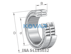 INA INA SL185032 Cylindrical roller bearing