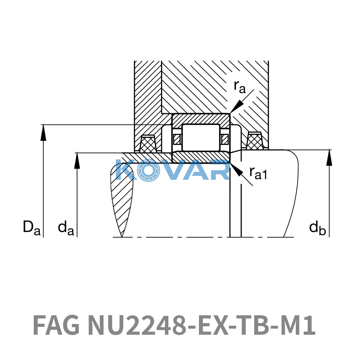 FAG FAG NU2248-EX-TB-M1 Cylindrical roller bearing