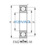 FAG FAG 6096-M Deep groove ball bearings