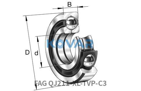 FAG FAG QJ211-XL-TVP-C3 Four point contact bearing