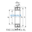 FAG FAG 21309-E1-XL Spherical roller bearings