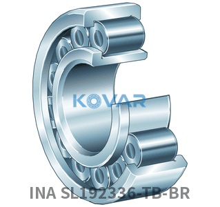 INA INA SL192336-TB-BR Cylindrical roller bearing