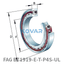 FAG FAG B71919-E-T-P4S-UL Spindle bearings