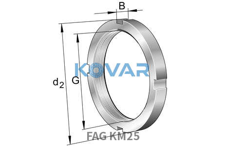 FAG FAG KM25 Nuts