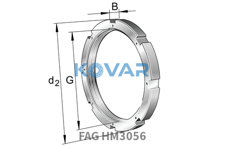 FAG FAG HM3056 Nuts