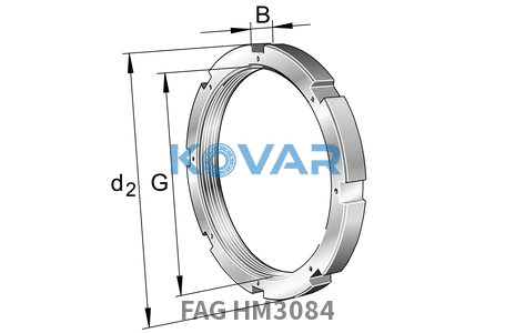 FAG FAG HM3084 Nuts