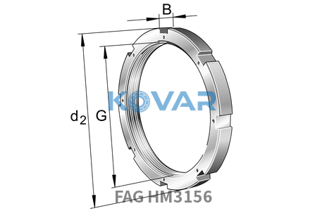 FAG FAG HM3156 Nuts