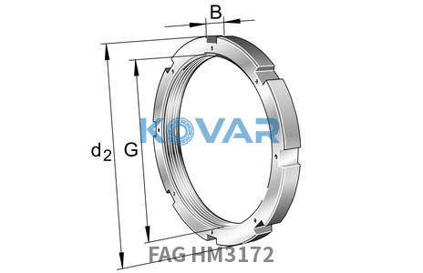 FAG FAG HM3172 Nuts