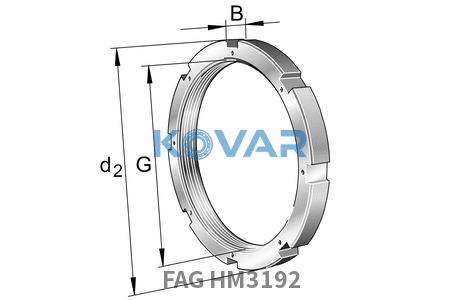 FAG FAG HM3192 Nuts