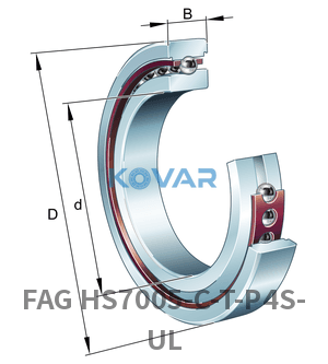 FAG FAG HS7005-C-T-P4S-UL Spindle bearings