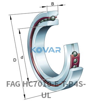 FAG FAG HC7010-E-T-P4S-UL Spindle bearings