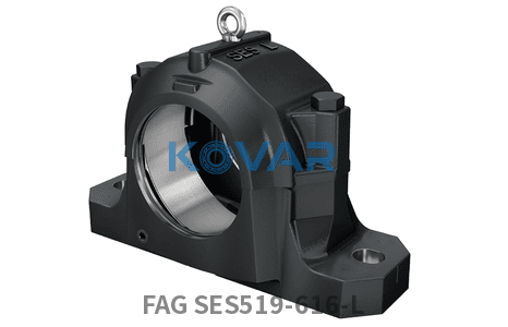 FAG FAG SES519-616-L Plummer block housings