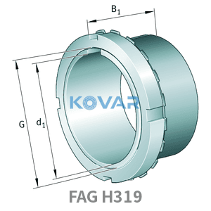 FAG FAG H319