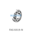 FAG FAG 6019-N Deep groove ball bearings
