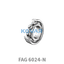 FAG FAG 6024-N Deep groove ball bearings