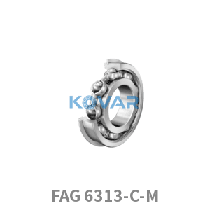 FAG FAG 6313-C-M Deep groove ball bearings